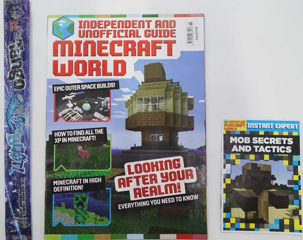 Minecraft World – BookXcess