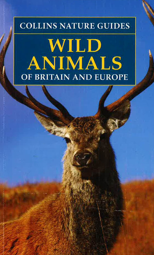 Wild Animals Of Britain & Europe