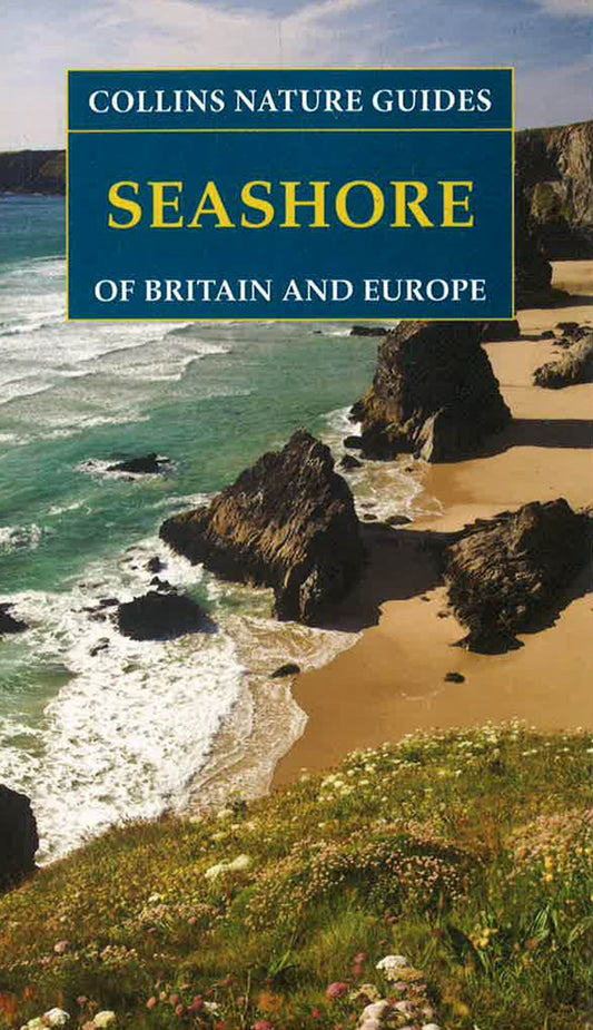 Seashore Of Britain And Europe