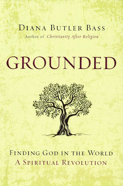 Grounded: Finding God In The World-A Spiritual Revolution