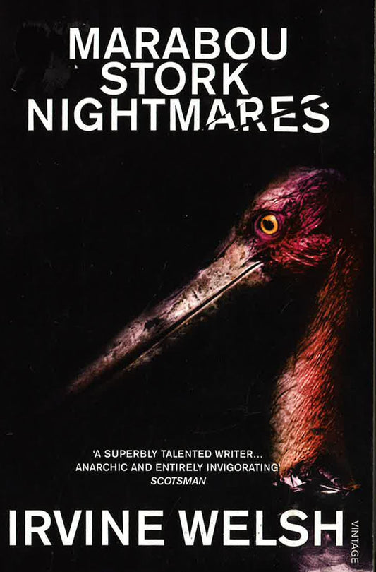 Marabou Stork Nightmares