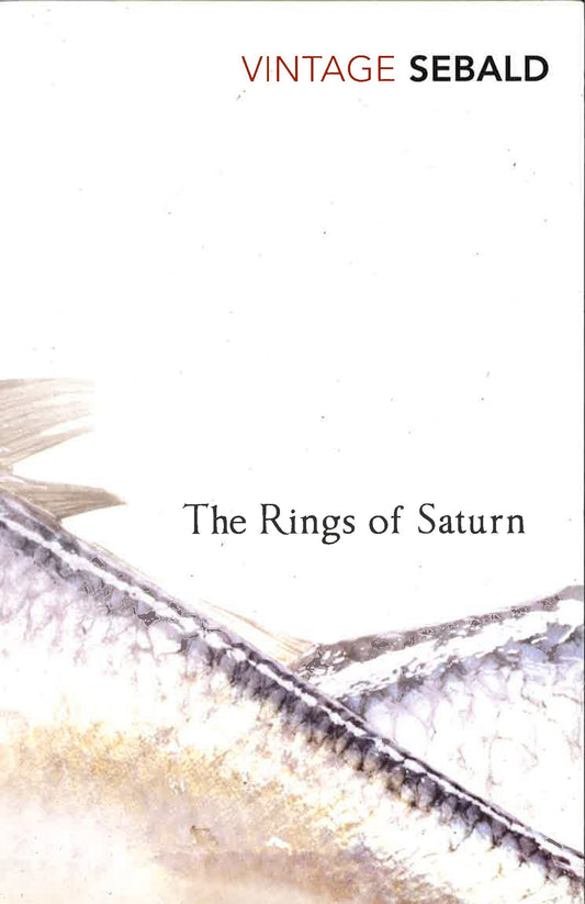 The Rings Of Saturn