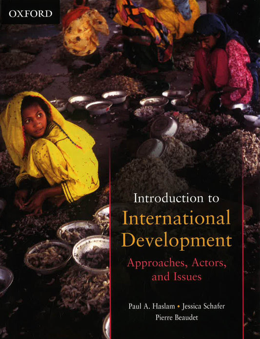 Introduction To International Development: Approaches, Actors, And Issues