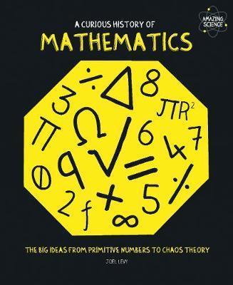 A Curious History Of Mathematics : The Big Ideas From Primitive Numbers To Chaos Theory