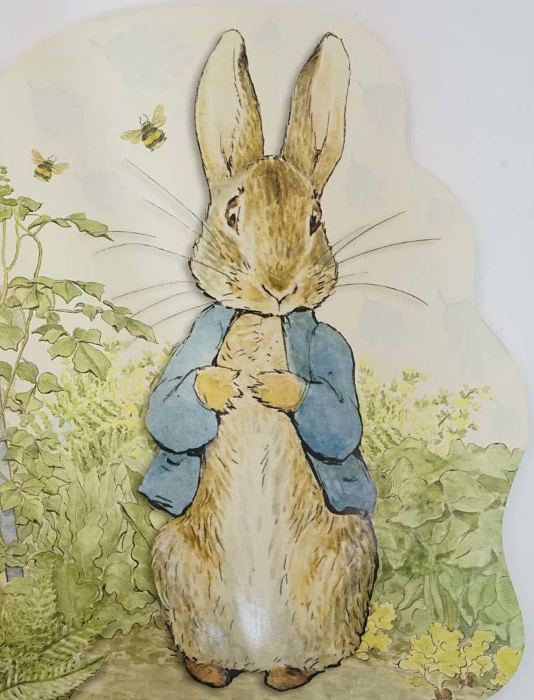 Large Shaped Peter Rabbit Board Book – BookXcess