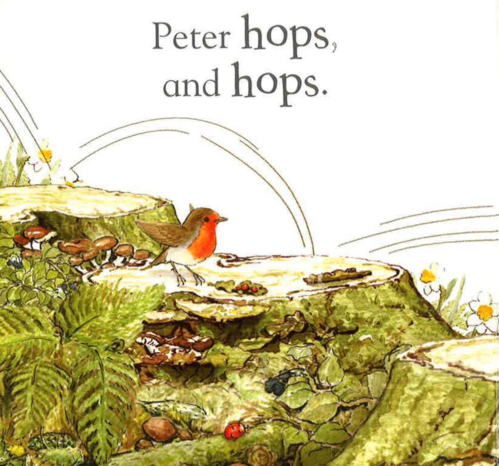 Peter Rabbit Hello Peter! BookXcess