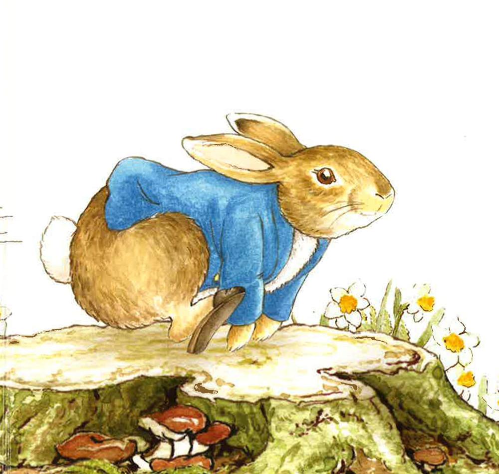 Peter Rabbit: Hello Peter! – BookXcess