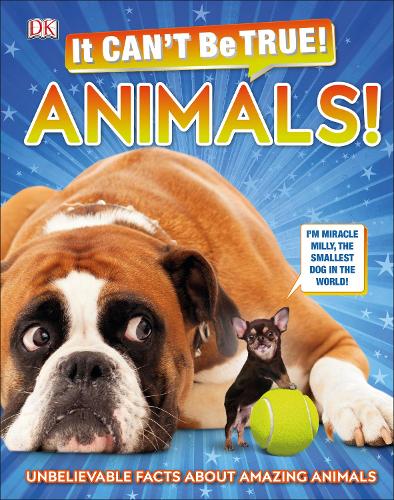 It Can't Be True Animals