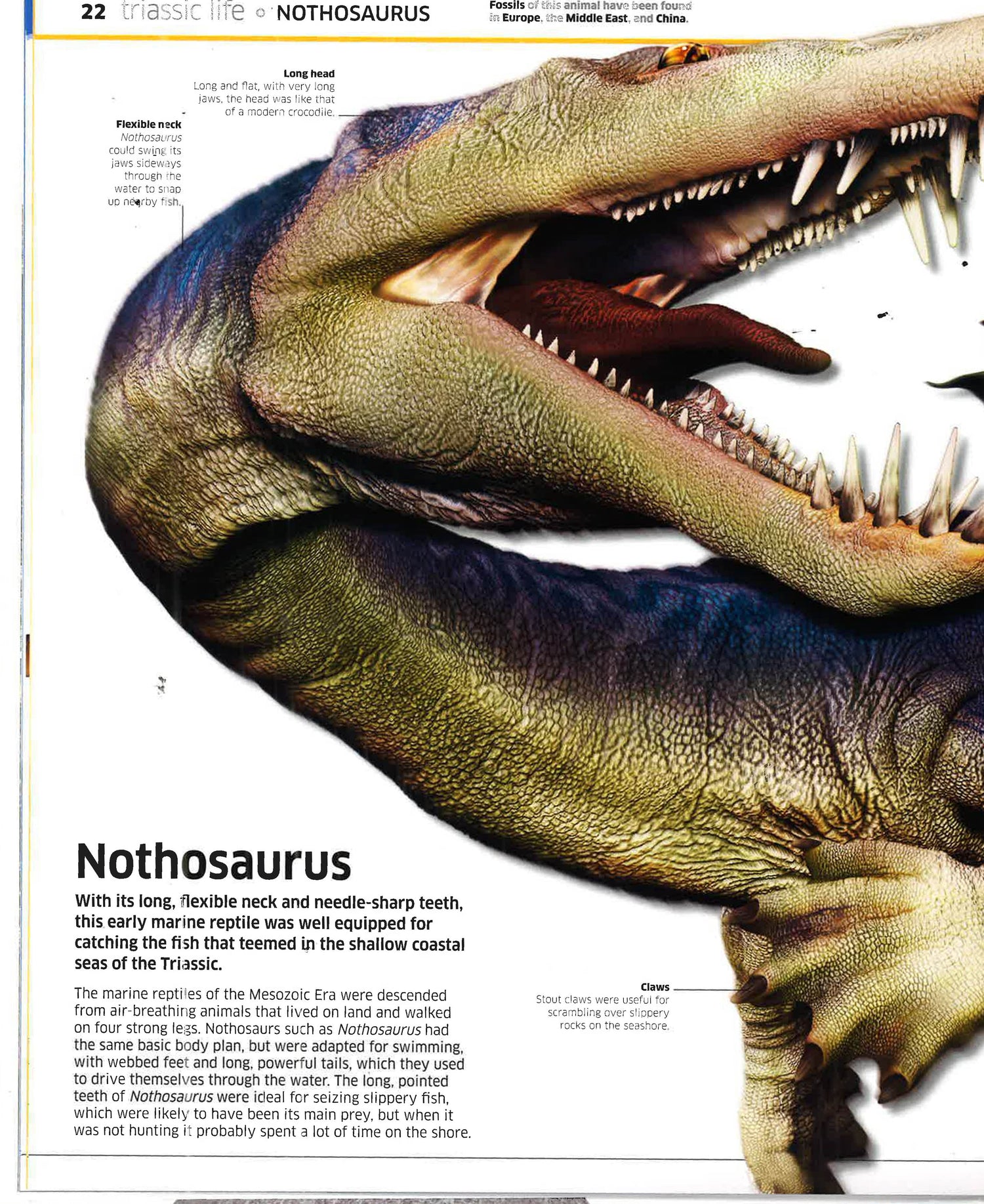 Knowledge Encyclopedia Dinosaur! – BookXcess