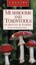 Mushroom And Toadstools Of Britain & Europe