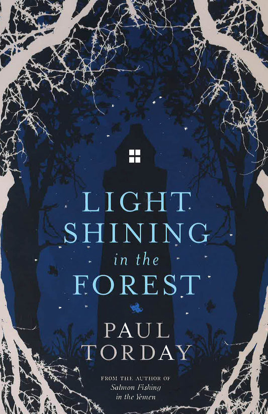 Light Shining In The Forest