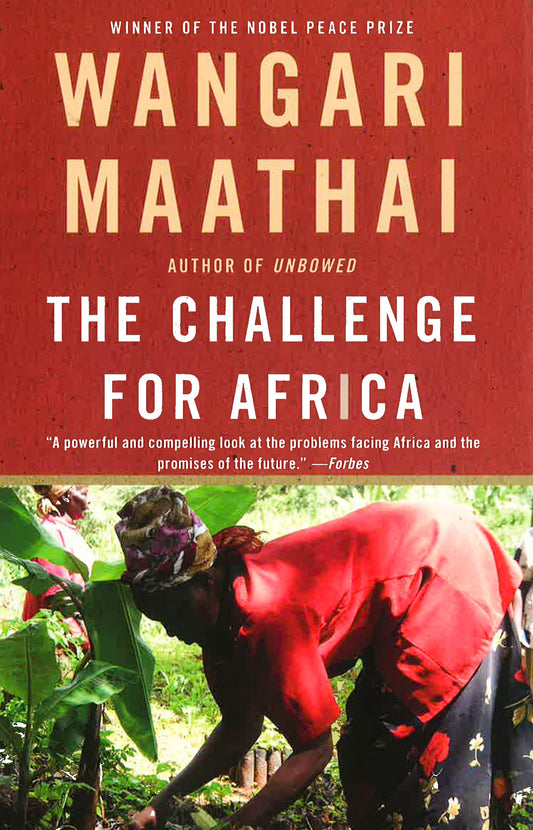 The Challenge For Africa