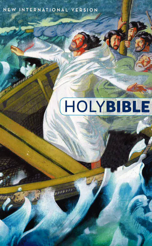 Niv, Children's Holy Bible