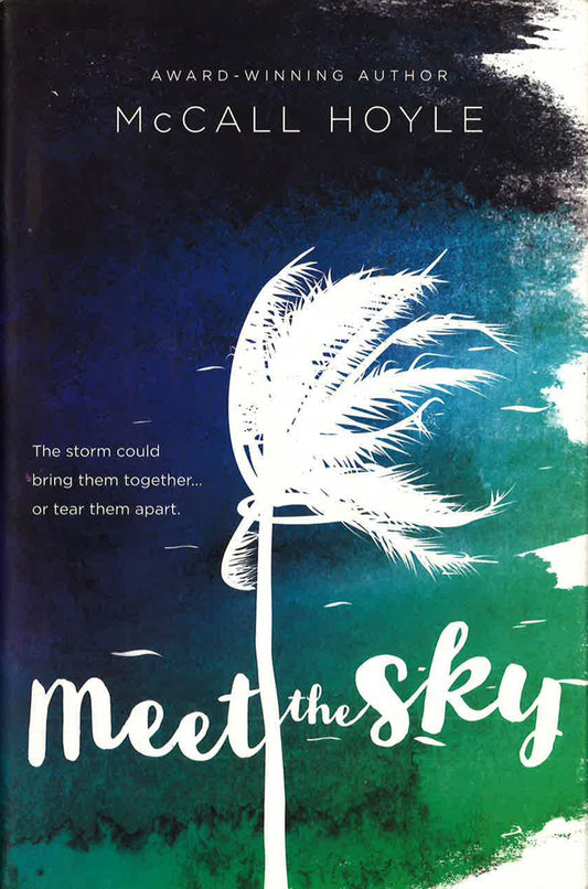 Meet The Sky