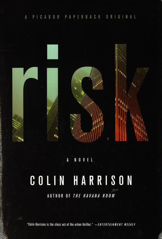Risk: A Novel