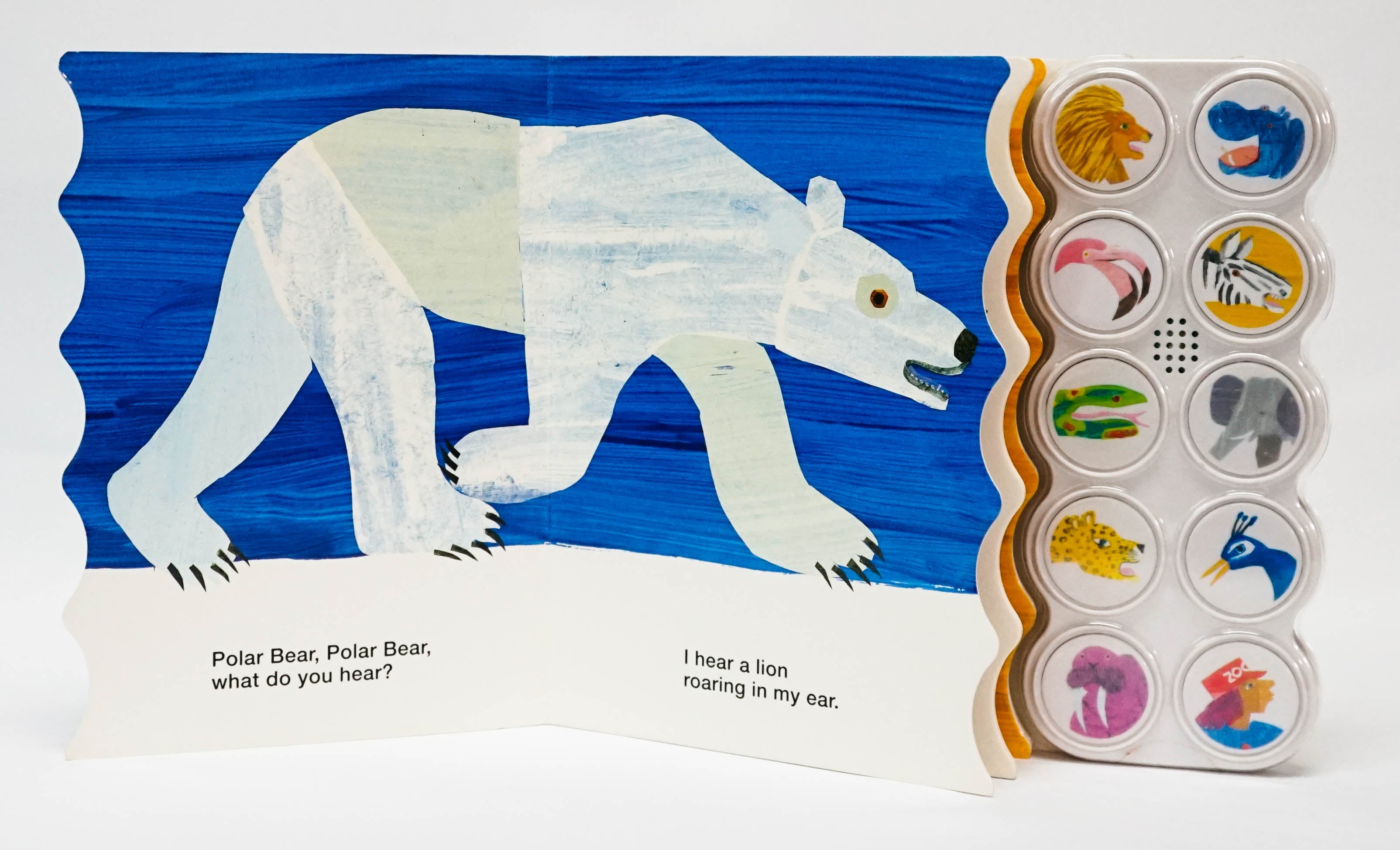 –　Polar　Bear,　Polar　Bear,　Hear?　What　Do　You　BookXcess