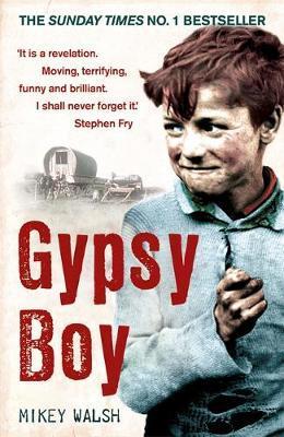 Gypsy Boyone Boy's Struggle To Escape From A Secret World