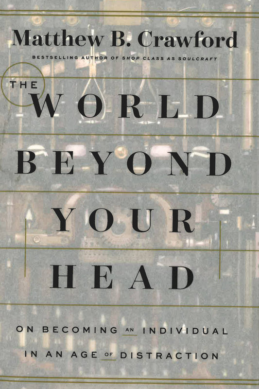 World Beyond Your Head