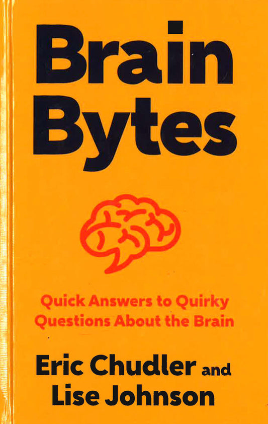Brain Bytes: Quick Answers To Quirky Questions About The Brain