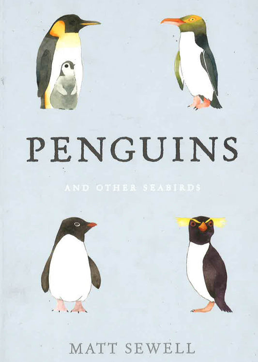 Penguins And Other Sea Birds