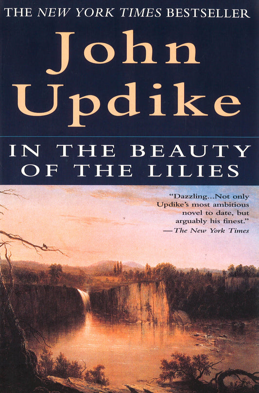 In the Beauty of the Lilies: A Novel