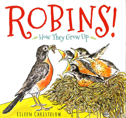 Robins! How They Grow Up