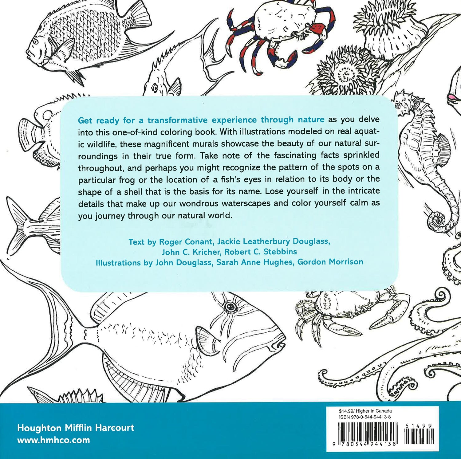 Aquatic Colouring To Calm Yourself – BookXcess