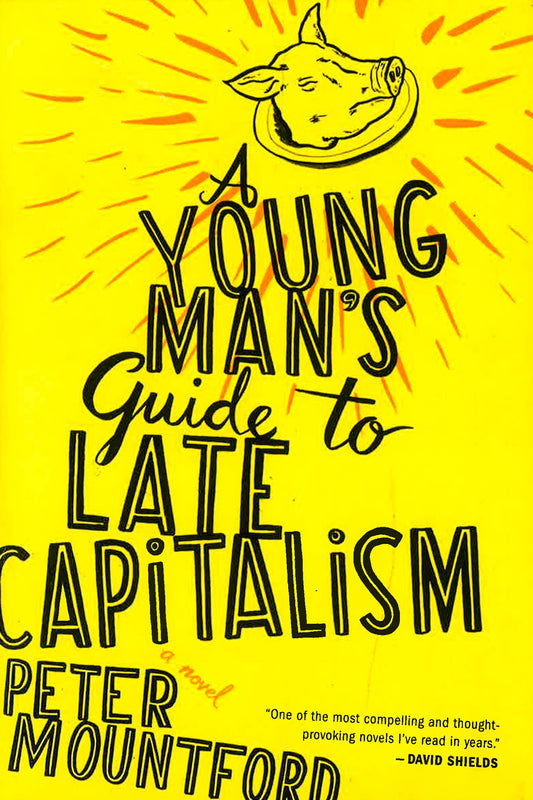 Young Man's Guide To Late Capitalism
