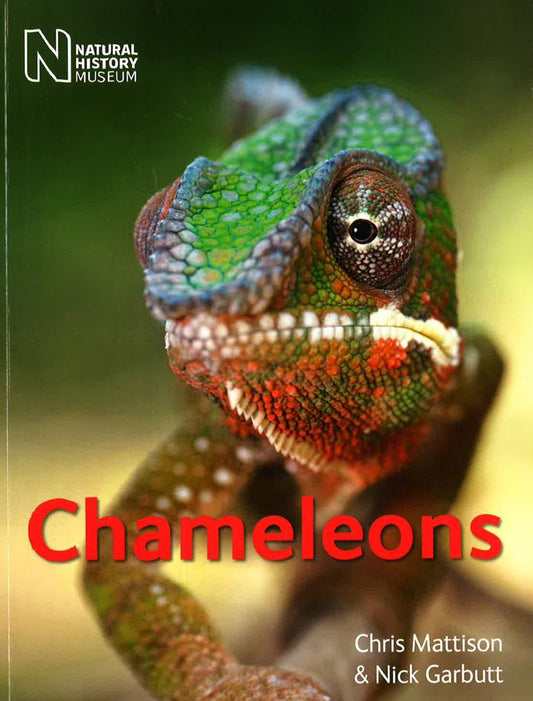 (Original Price RM19.90) Chameleons