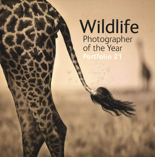 Wildlife:Portfolio 21