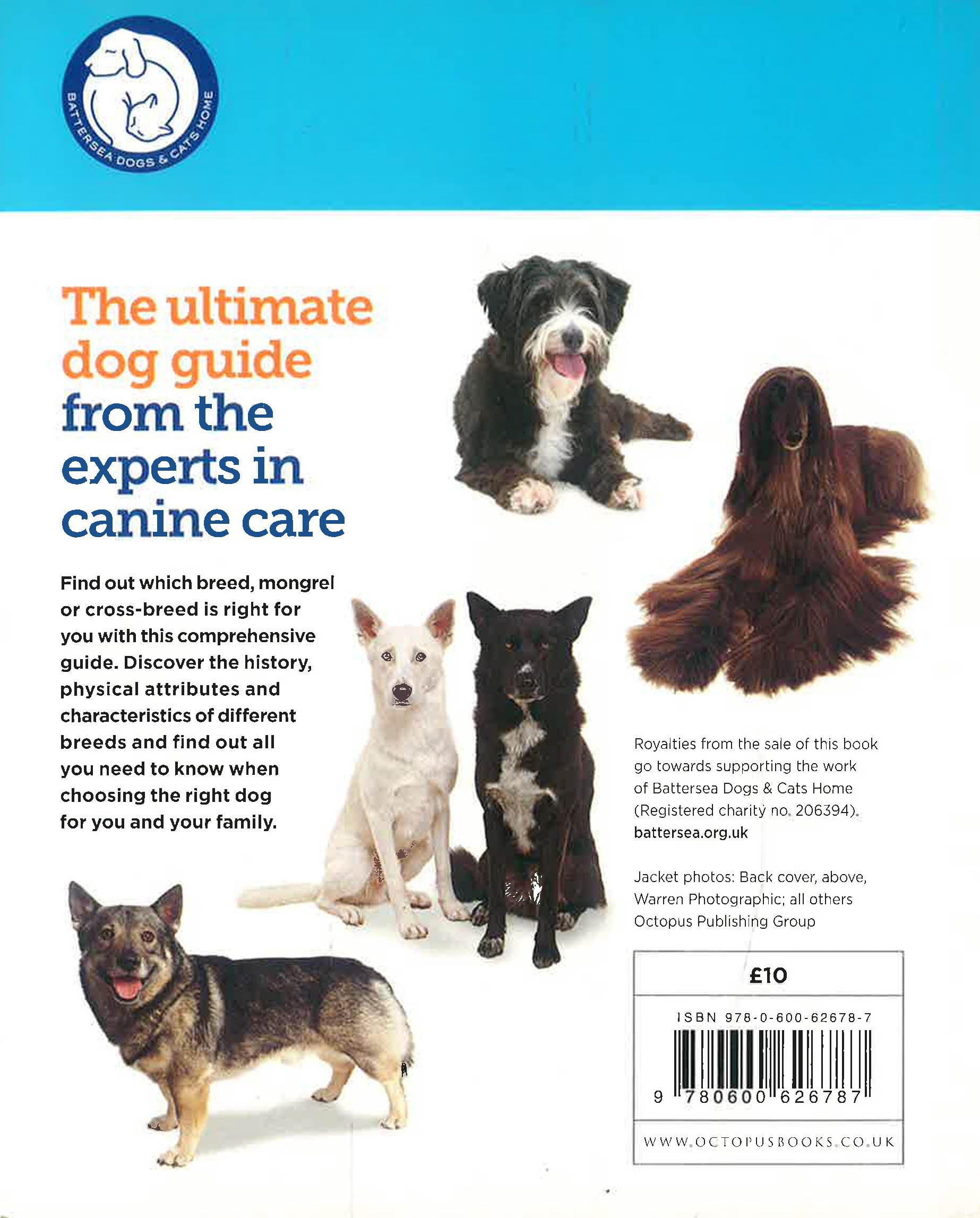 The Battersea Dogs And Cats Home: Choosing The Right Dog For You