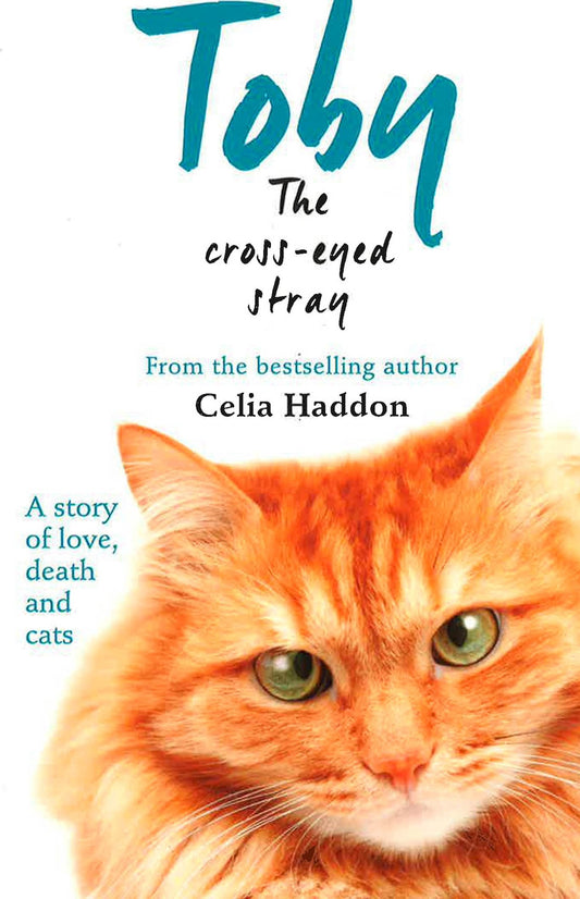 Toby The Cross-Eyed Stray