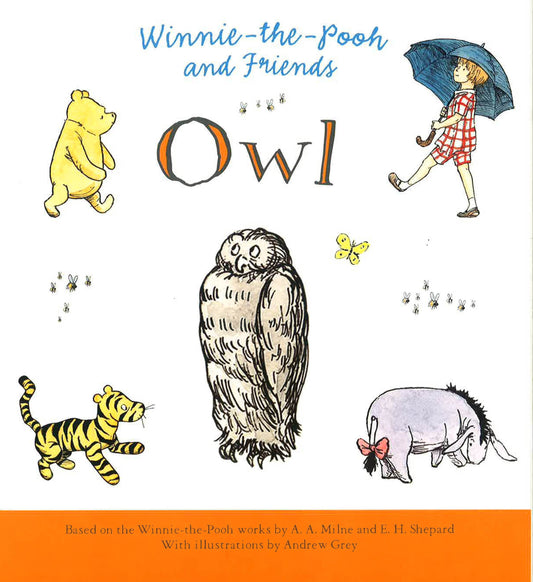 Winnie-The-Pooh And Friends Owl