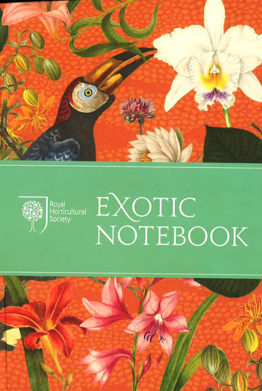 Exotic Notebook