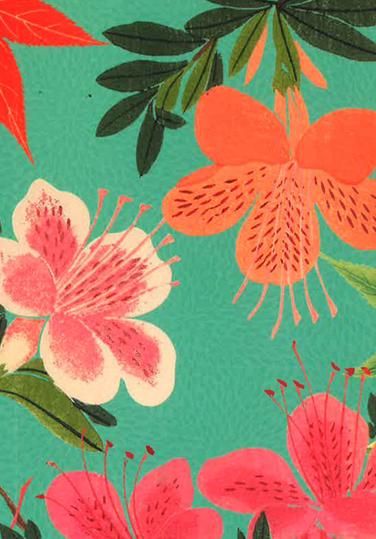 Rhs : Pocket Notebook Set (3 Notebooks)