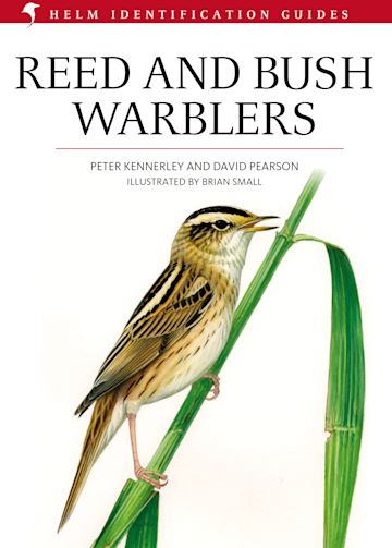 Reed And Bush Warblers