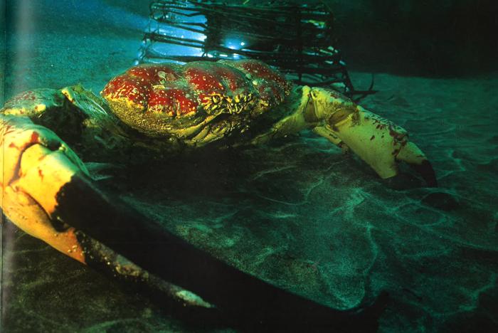 Translation missing: en.sections.featured_product.gallery_thumbnail_alt
