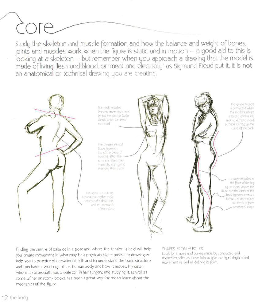 Human Figure Rigging Book Figure – BookXcess