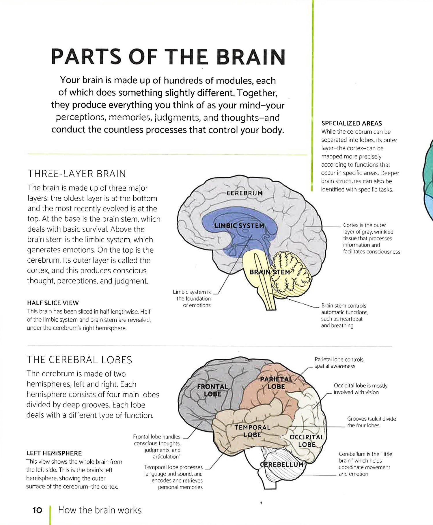 The Brain Fitness Book Activities And Puzzles To Keep Your Mind Activ