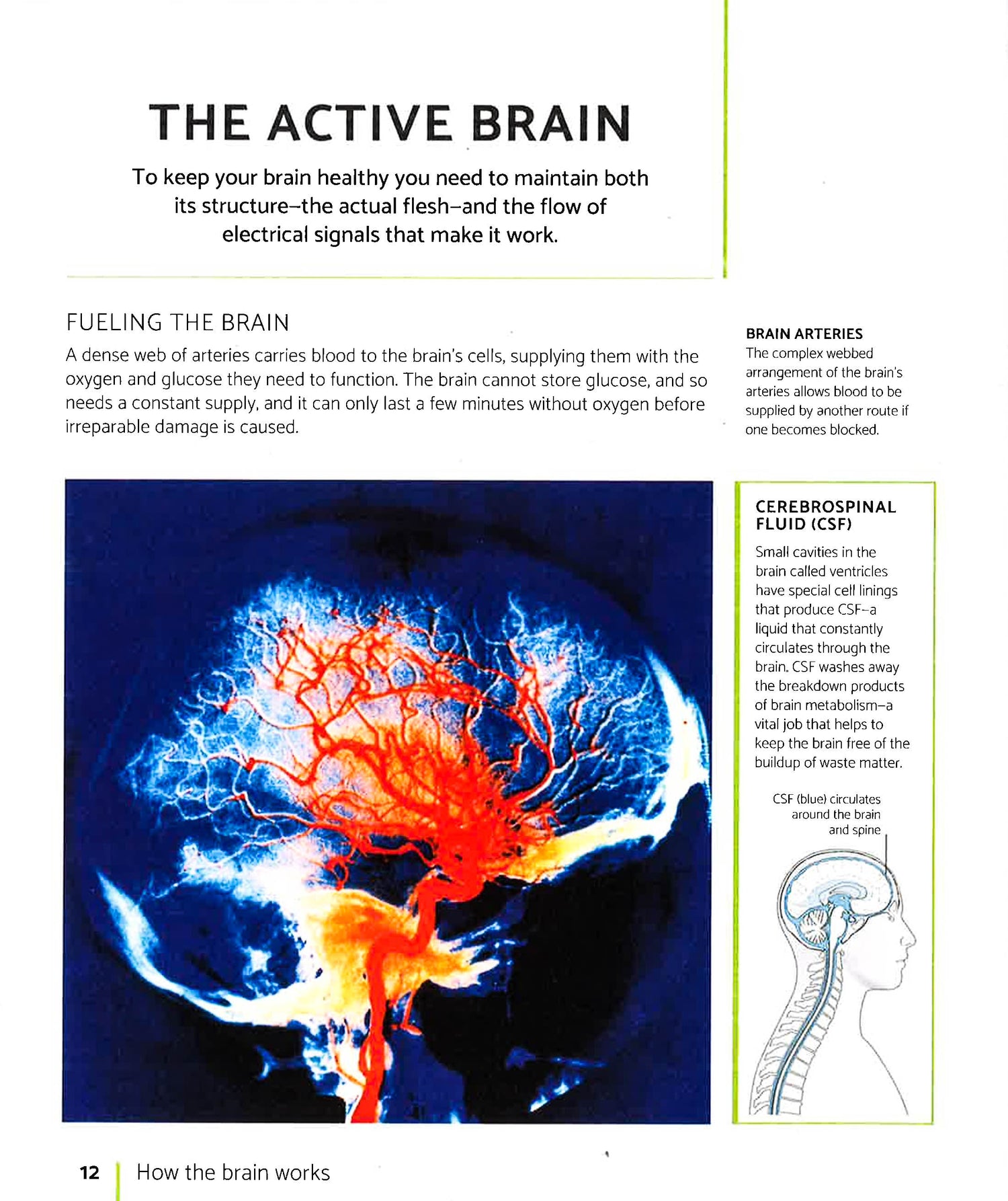 The Brain Fitness Book Activities And Puzzles To Keep Your Mind Activ