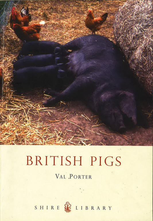 British Pigs