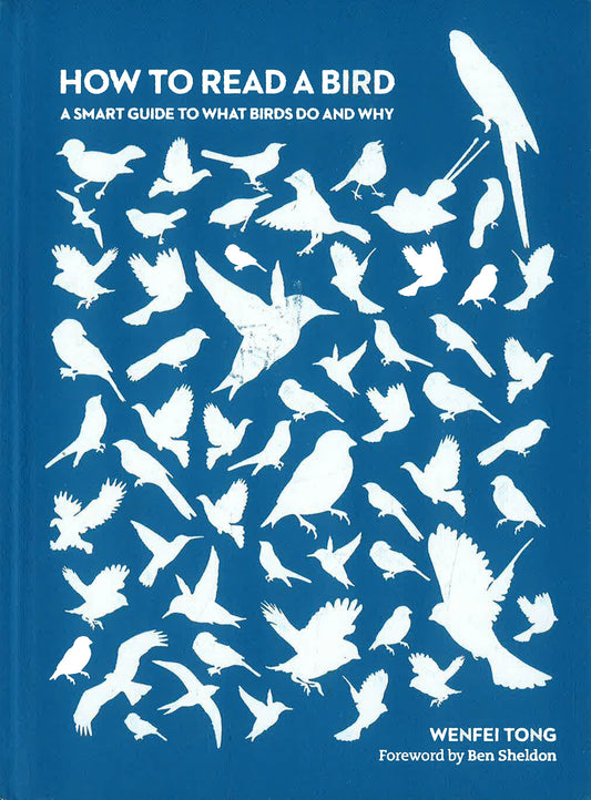 How To Read A Bird: A Smart Guide To What Birds Do & Why (Not Quite Mint)