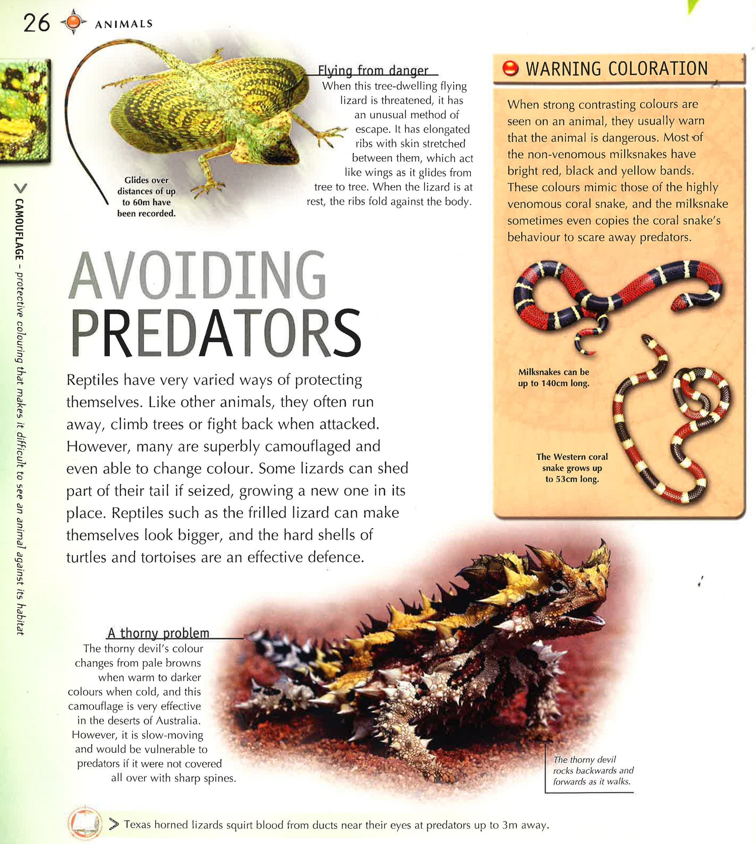 Navigating Animals Navigators: Animals – BookXcess