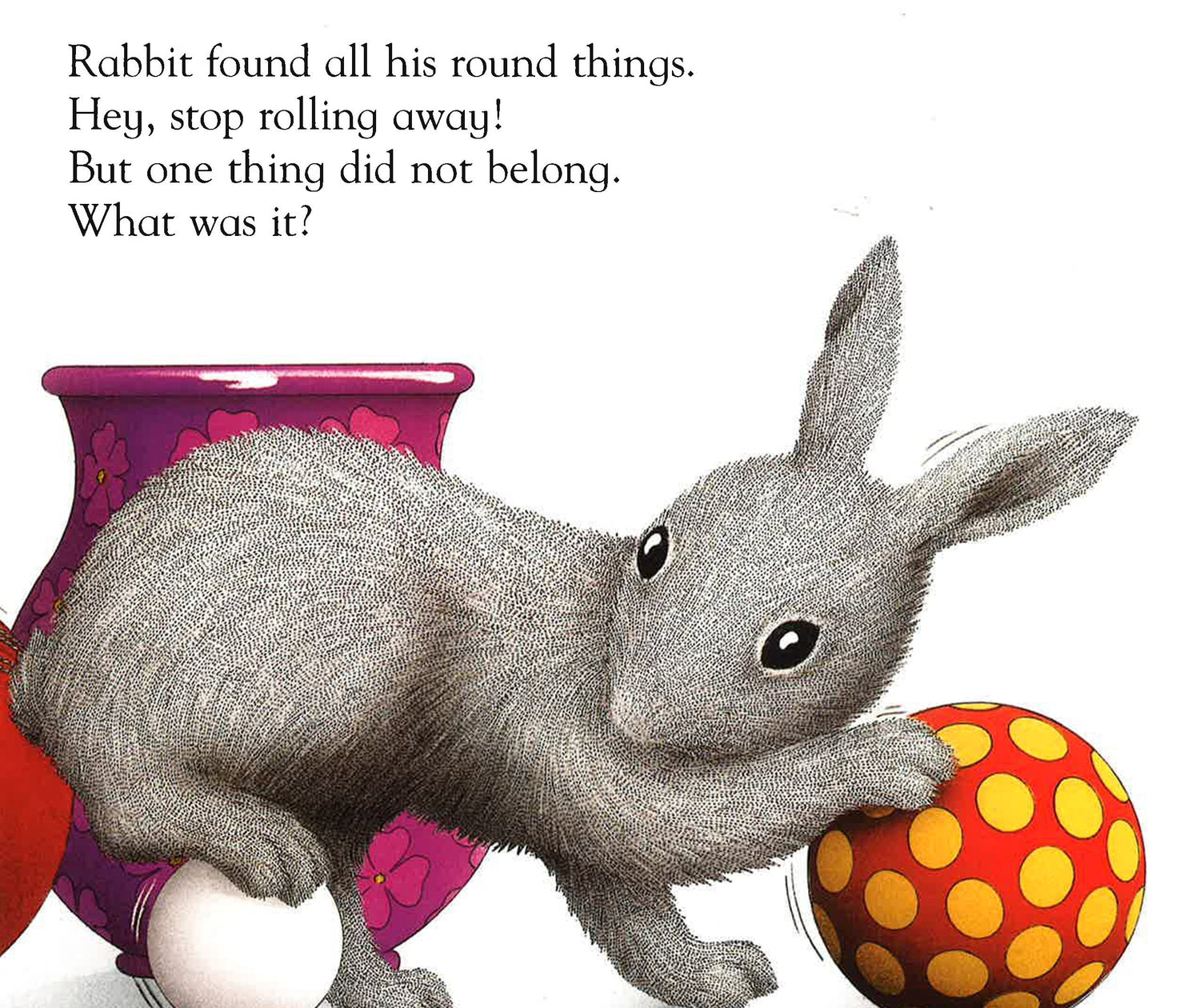 Grey Rabbit's Odd One Out – BookXcess