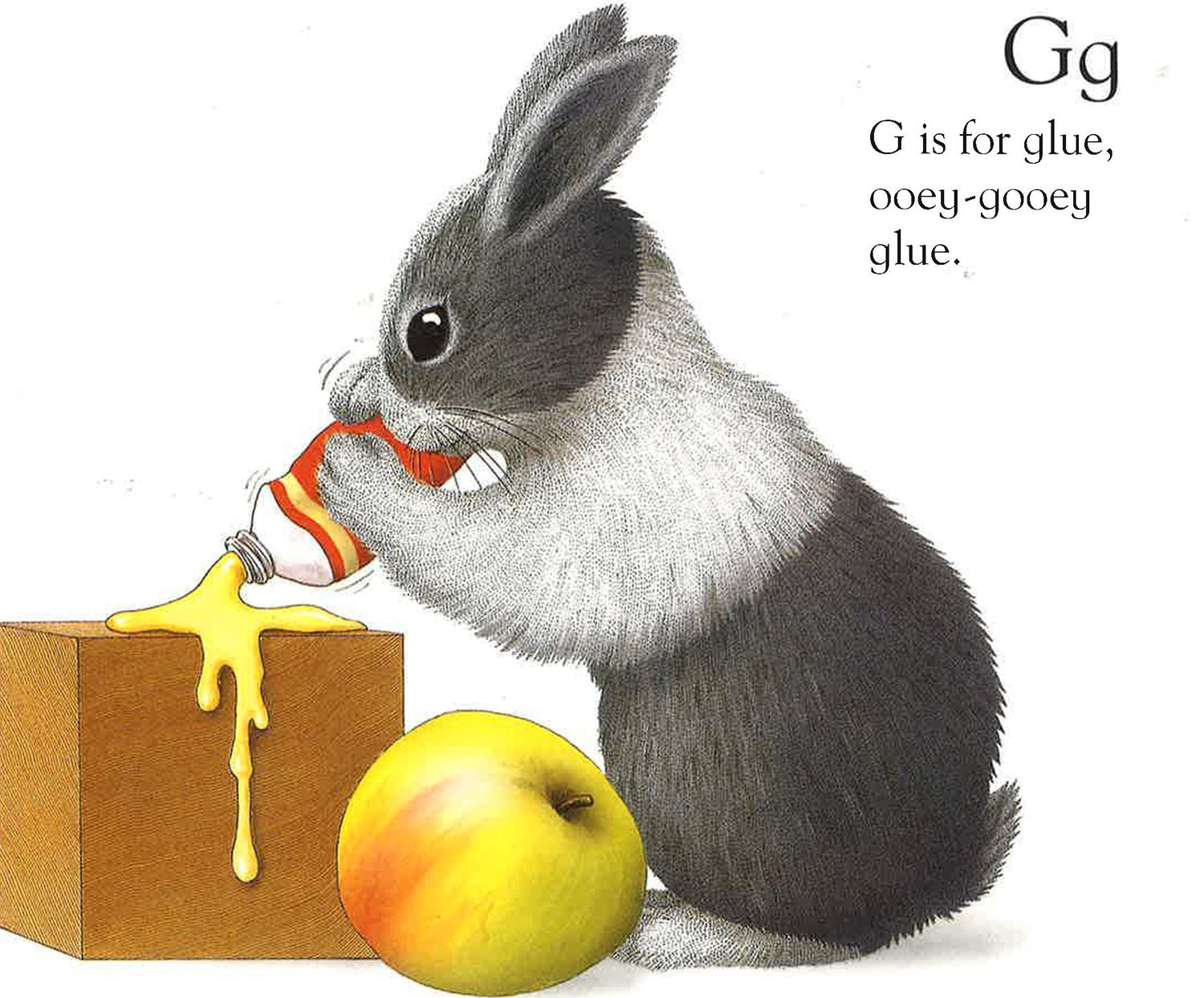 Black And White Rabbit's Abc – BookXcess