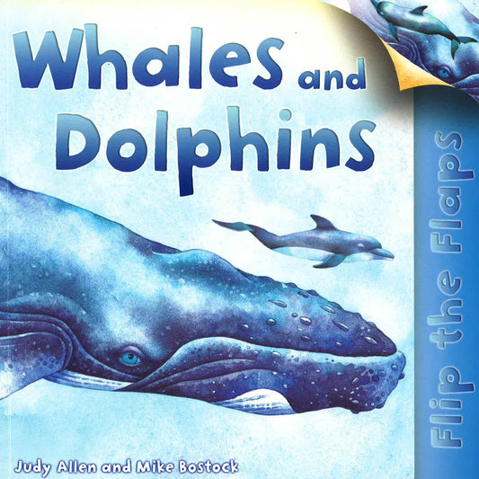 Flip The Flaps: Whales And Dolphins