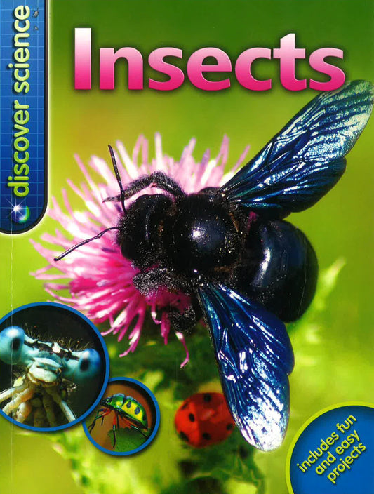 Discover Science: Insects