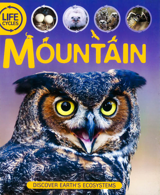 Life Cycles Mountain