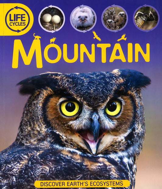 Mountain (Life Cycles)
