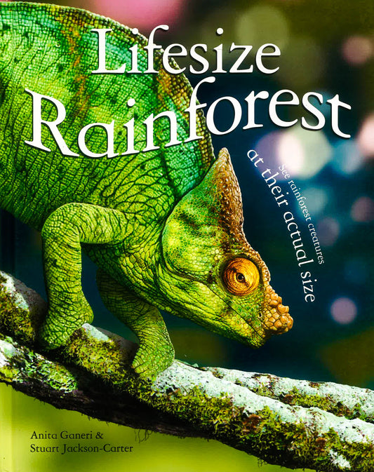 Lifesize: Rainforest